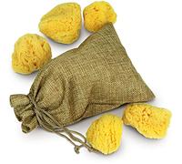 tom&pat® Spugna naturale per pittura • alternativa pennello • lavabile e riutilizzabile • acquerello e acrilico • bambini e artisti • Dermatest eccellente • qualità premium Grecia (5 x 3-7 cm)