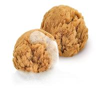 tom&pat® Spugna neonato bagnetto • marina naturale 100% • per bambini e neonati • Mediterraneo • Dermatest eccellente • qualità premium Grecia (2 x 7-10 cm)