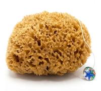 tom&pat® Vera spugna da bagno naturale Honeycomb non sbiancata (13-14 cm)