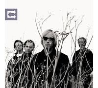 Tom Petty and the Heartbreakers Echo (Vinyl LP) 12" Album