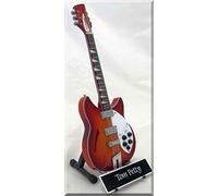 TOM Petty miniature Guitar Fireglo W/Name tag