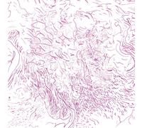 Tom Skinner Voice of Bishara (CD) Album