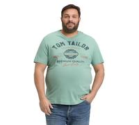 TOM TAILOR 1037735 T-Shirt, 22577-Dust Green, XL Uomo