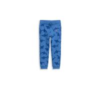 TOM TAILOR Pantaloni da ragazzo blu | 128-134