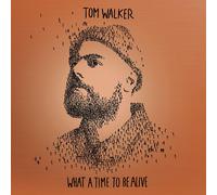 Tom Walker What a Time to Be Alive (CD) Deluxe Album (Jewel Case)