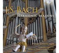 Tomadin Manuel Org - Harmonic Seasons