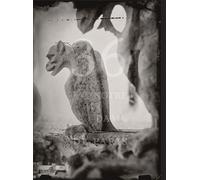 Tomas van Houtryve Tomas Van Houtryve: 36 Views of Notre Dame (Copertina rigida)