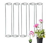 Tomato Twist Stake, 2025 New Spiral Tomato Stakes for Climbing Plants, Multipack Metal Supports, Garden Stake Frame for Potted Tomatoes, Roses, Vine (10 Pcs Straight)
