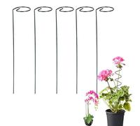 Tomato Twist Stake, 2025 New Spiral Tomato Stakes for Climbing Plants, Multipack Metal Supports, Garden Stake Frame for Potted Tomatoes, Roses, Vine (5 Pcs Straight)