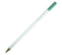 Tombow Irojiten Colored Pencil Sage Green DL4 1-Pack