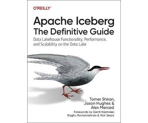 Tomer Shiran Jason Hughes Alex Merced Dipan Apache Iceberg: The Defi (Tascabile)