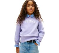 Tommy Hilfiger Bambina Felpa High Crew Neck con Scollo Rotondo, Viola (Periwinkle Dusk), 12 Anni