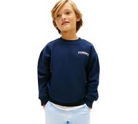 Tommy Hilfiger Bambino Felpa Monotype Graphic con Scollo Rotondo, Blu (Dark Night Navy), 16 Anni