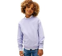 Tommy Hilfiger Felpa Unisex con Scollo a C Mini Corp, KS0KS00665, Colore Blu (Verde Crepuscolo), 5 Anni, Blu (Periwinkle Dusk), 5 Years