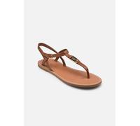 Tommy Hilfiger - LEATHER THONG SANDAL Marrone - Sandali e scarpe aperte 41 Marrone