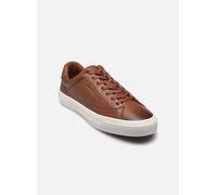 Tommy Hilfiger - PREMIUM DRESS CUPSOLE Marrone - Sneakers 40 Marrone