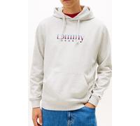 Tommy Hilfiger Regular Entry Dna Pullover Hoodie Ice Grey Heather Taglia: S | Felpe con cappuccio Outlet | Uomo | Grigio