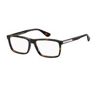 Tommy Hilfiger Th 1549 086/16 HAVANA Eyewear Men's Acetate, Standard, 55