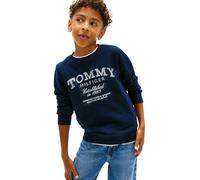 Tommy Hilfiger Felpa da Ragazzo con Stampa Sbiadita Tommy KB0KB10337 Pullover Felpa, Blu (Dark Night Navy), 4 Anni, Blu (Dark Night Navy), 4 Anni