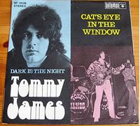TOMMY JAMES & SHONDELLS - dark is the night / cat's eye in the window