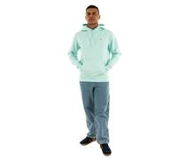 Tommy Jeans Tjm Reg S Flag Hoodie Dm0dm20742, Felpa con Cappuccio Uomo, Verde (Spring Mint), L