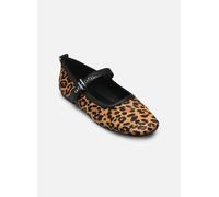 Tommy Jeans - TJW MARYJANE LEOPARD Marrone - Ballerine 40 Marrone
