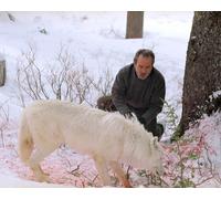 Tommy Lee Jones [1038039] Foto 8X10 (Altre Dimensioni Disponibili)