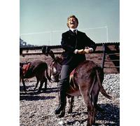 Tommy Steele [1026422] 8x10 Foto (Altre Misure Disponibile)