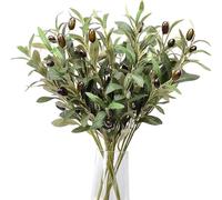 Tomotato Rami di ulivo artificiali, Decorativi Steli Verdi con Olive in Seta e Plastica per Interni, 5 Pezzi per Composizioni Floreali per Camera da Letto, Soggiorno, Ufficio