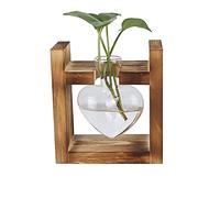 Tomotato Stazione di Propagazione per Piante, Terrario per Piante con Supporto in Legno, Mini Vaso da Tavolo in Vetro Trasparente a Forma di Cuore per Piante Idroponiche(1 Vaso)