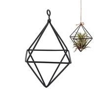 Tomotato Supporto per Piante ad Aria, Supporto per Vasi per Piante Supporto in Metallo Geometriche Supporto per Piante Struttura In Metallo Supporti Moderni Porta Piante Interni