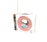 Tomoyasu Hotei - Guitarhythm Wild 2