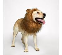 TOMSENN Criniera di leone per cani, realistica e divertente criniera di leone per cani, parrucca da leone per cani di taglia media e grande, parrucca per cani di taglia media e grande, parrucca per