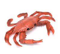Tomvorks Giocattolo Educativo Decorativo da Scrivania in Plastica Realistica per Bambini da 6,9 Pollici per gli Amanti degli Animali Marini (PL127-777 Granchio rosso (0,072 kg))