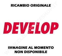 TONER DEVELOP TNP-80K AAJW1D4 (13.000PG) NERO - ORIGINALE