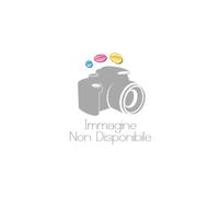 Toner Originale Ricoh 841638 (Giallo 460 pagine)