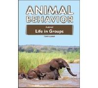 Toney Allman Animal Life in Groups (Copertina rigida)