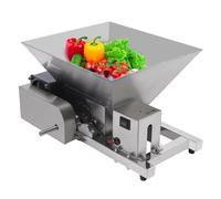 TONFEION Frutta elettrica da 4 l, trituratore per frutta, in acciaio inox, 44 lbs/h, tritatutto per frutta, pane, 60 W, macina d'uva