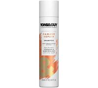 Toni & Guy Cleanse Damaged Shampoo - 250 ml