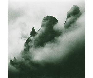 Toniutti Massimo - Il Museo Selvatico