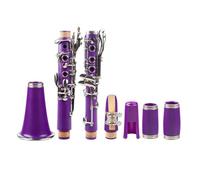 Tono Sib Viola 17 Tasti Clarinetto Corpo In ABS Chiavi In cupronichel Clarinetto Con Custodia Per Il Trasporto E Ance Per Bocchino Clarinetto per Principianti