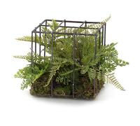 Tono Su Tono Felci Cubo Ferro 150 x 150 x 150 Mm