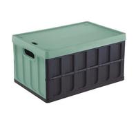 Tontarelli Contenitore (46L) pieghevole con coperchio CARGO Nero e Salvia