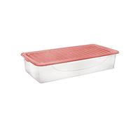 Tontarelli Dodo Stock Box, Contenitore multiuso basso con coperchio, 78,3x39,2x16,5cm, trasparente e rosso corallo