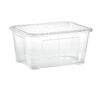 Tontarelli 13 lt Contenitore Combi Box, Polipropilene, Multicolore, 37 x 27 x 18.8 cm