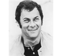 Tony Curtis Come Danny Wilde Dal Poster Stampa 24x20" Immagine Bella 175013