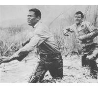 Tony Curtis, Sidney Poitier The Def Poster Stampa 61x50.8cm