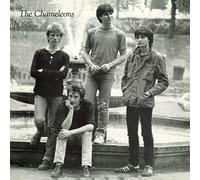 The Chameleons Tony Fletcher Walked On Water (Vinyl LP) 12" Album Coloured Vinyl