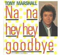 Tony Marshall - Na Na Hey Hey Goodbye - White Records - 112 786