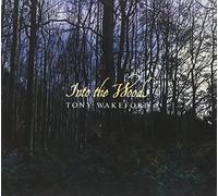 Tony Wakeford - Into The Woods